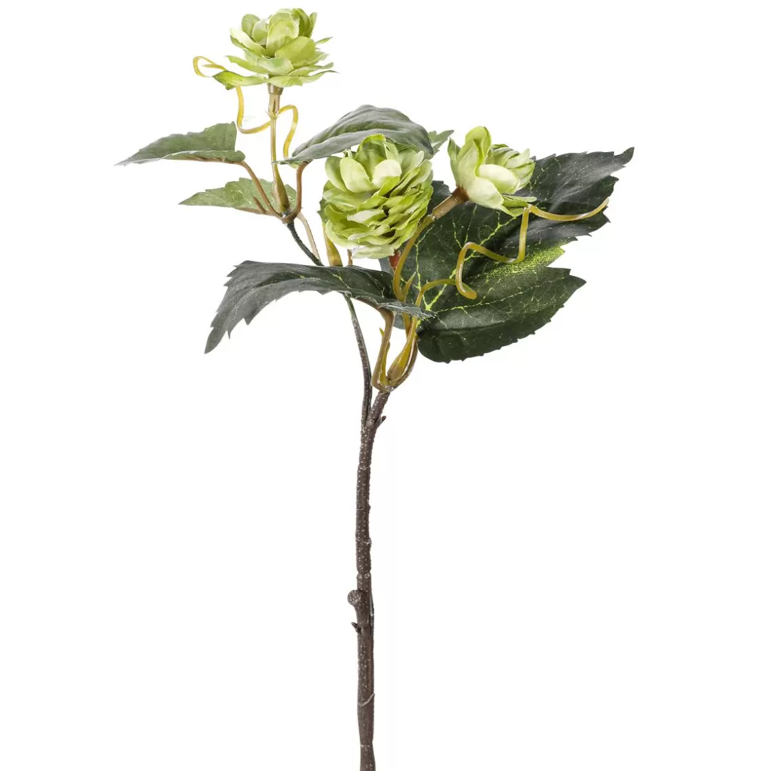 Decoración Temática | Decoración De Otoño>DecoWoerner Juego De Ramas Artificiales De Lúpulo De 3 Piezas 10 X 5 X 28 Cm verde