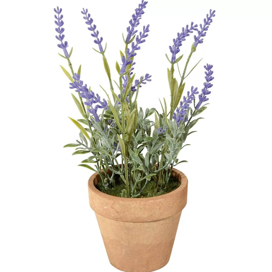 Decoración De Primavera | Plantas De Interior>DecoWoerner Lavanda Decorativa Con Maceta, 23 Cm violeta