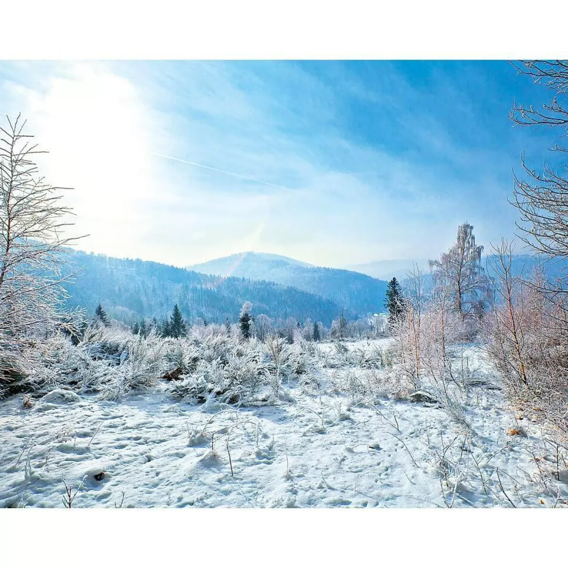 Bandera Xxl | Decoración De Invierno>DecoWoerner Lona XXL "Paisaje De Invierno" De Lona De Camión Ignífuga 250 X 330 Cm blanco