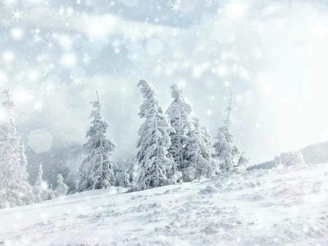 Bandera Xxl | Decoración De Invierno>DecoWoerner Lona XXL "Paisaje De Nieve" De Lona De Camión Ignífuga 250 X 330 Cm blanco