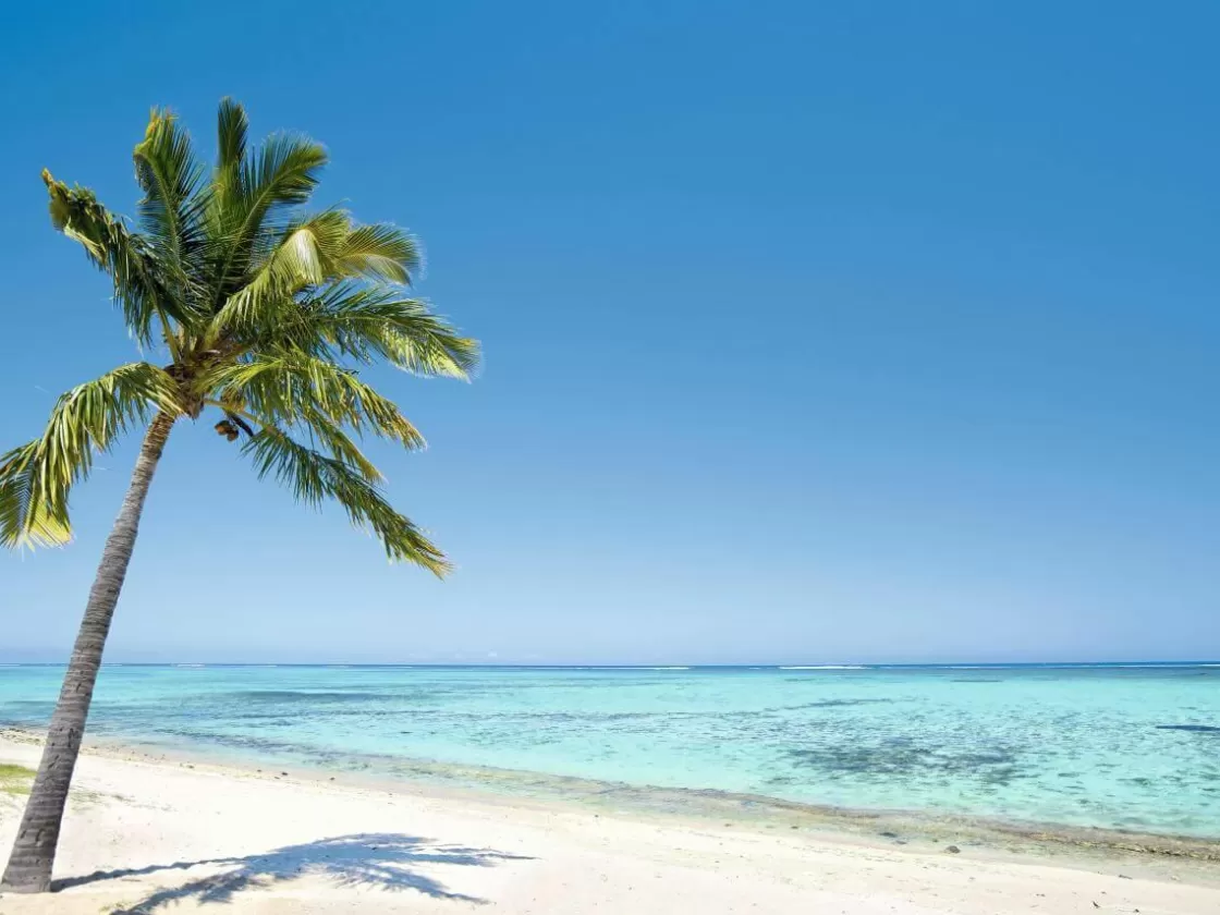Bandera Xxl | Decoración Temática>DecoWoerner Lona XXL "Tropical Palm Beach" De Lona De Camión Ignífuga 250 X 330 Cm azul