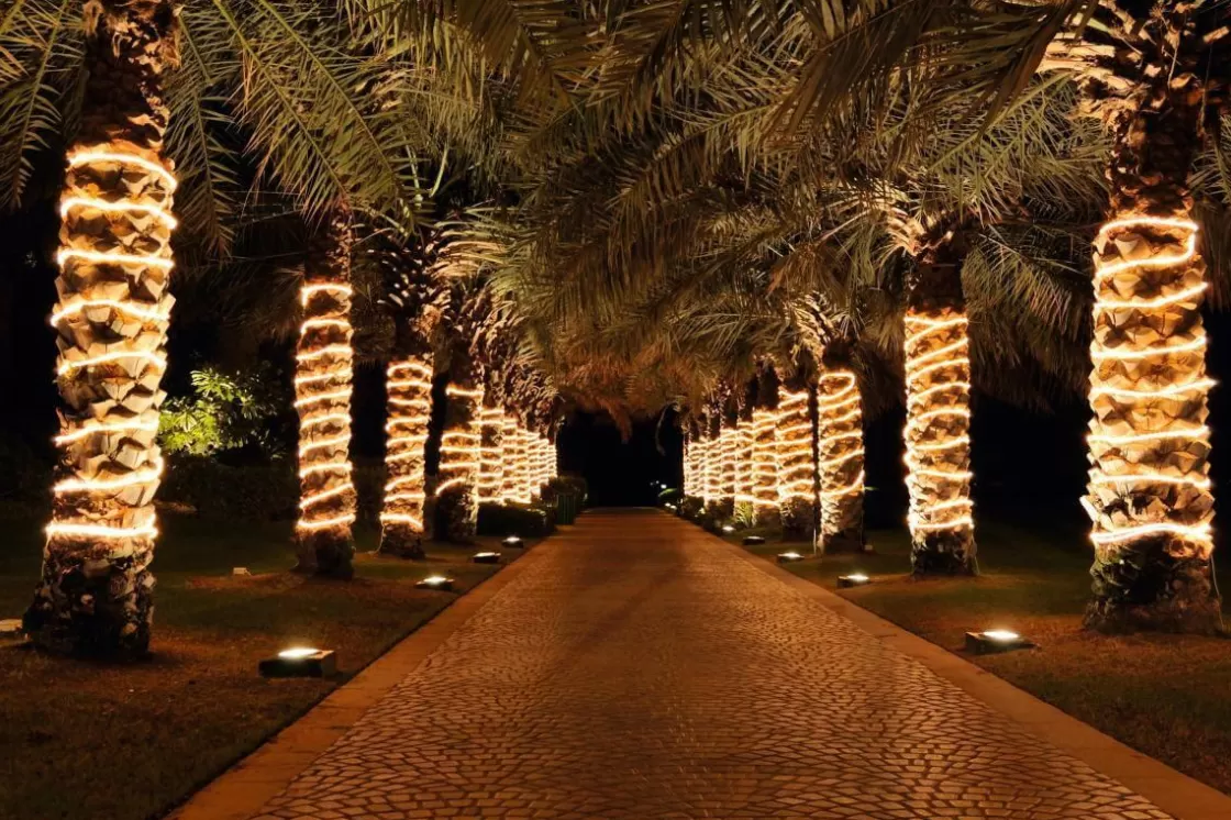 Luz Decorativa | Luces De Navidad>DecoWoerner Manguera De Luz Para Iluminación Decorativa, 44 M transparente