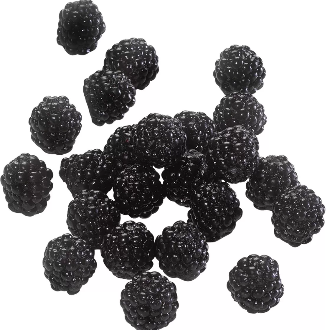 Frutas>DecoWoerner Maniquí De Moras, 24 Piezas negro