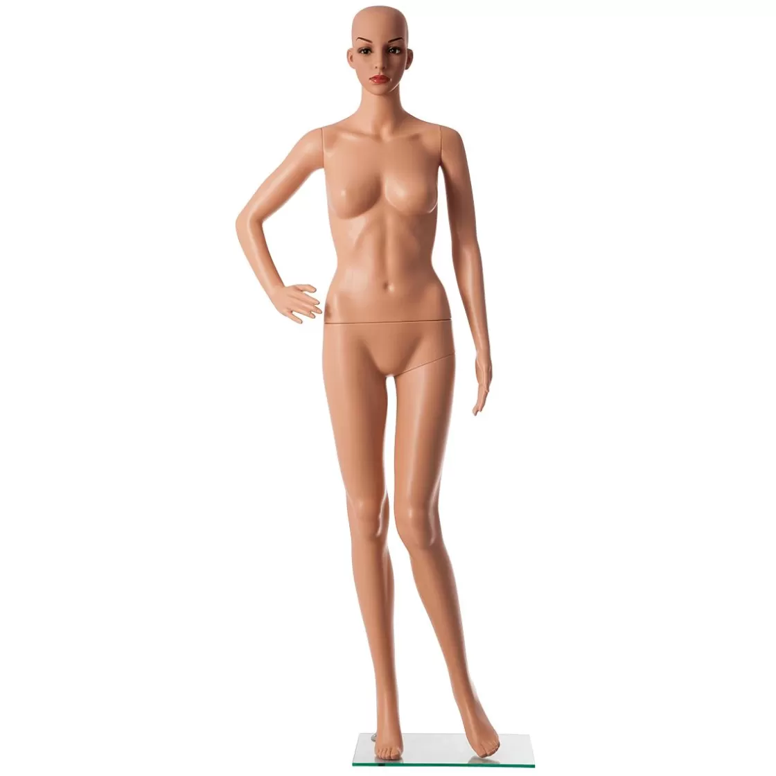 Maniquíes>DecoWoerner Maniquí Sostenible Señora, 178 Cm, Beige