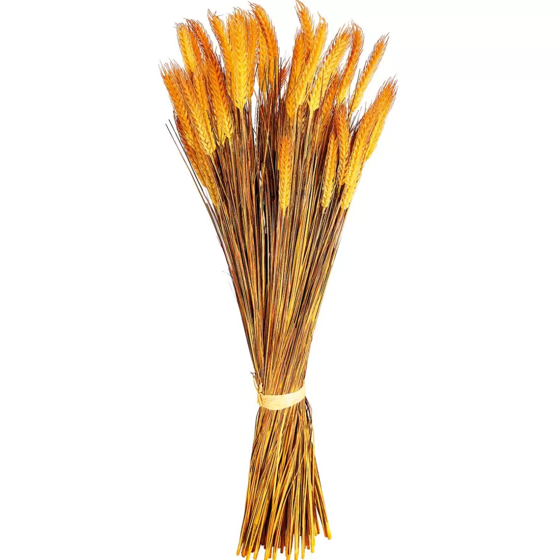 Decoración De Otoño | Hierba Decorativa>DecoWoerner Manojo De Espigas De Trigo Decorativo 90 Cm amarillo