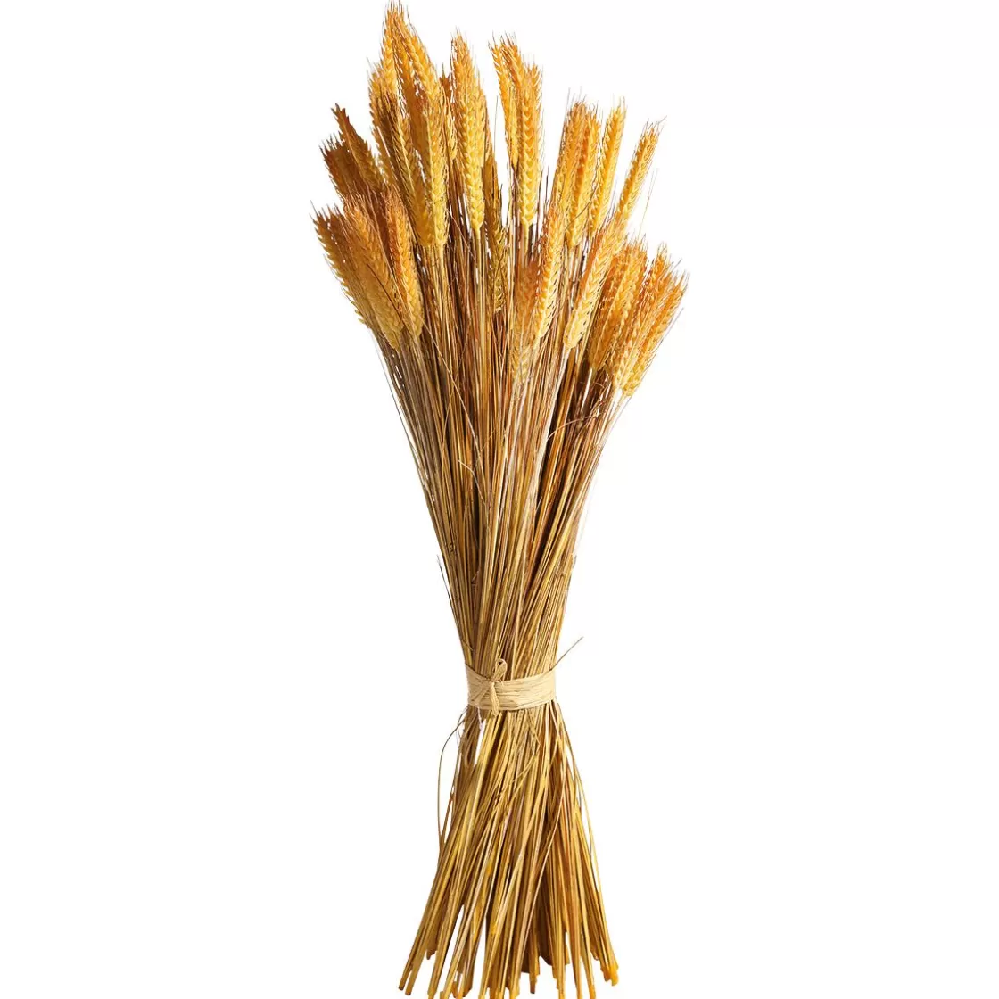 Decoración De Otoño | Hierba Decorativa>DecoWoerner Manojo De Espigas De Trigo Decorativo 90 Cm amarillo