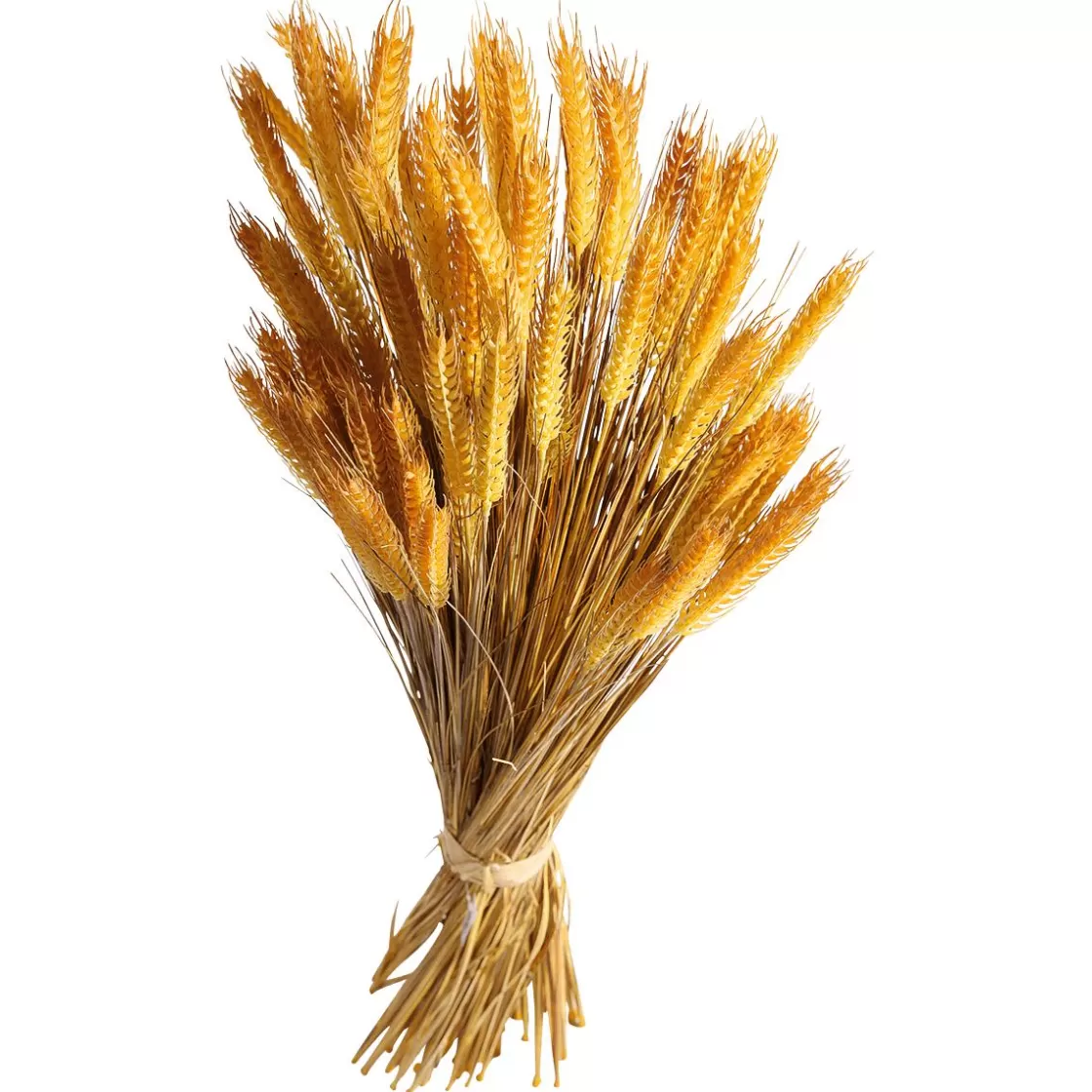 Decoración De Otoño | Hierba Decorativa>DecoWoerner Manojo De Espigas De Trigo Decorativo 90 Cm amarillo