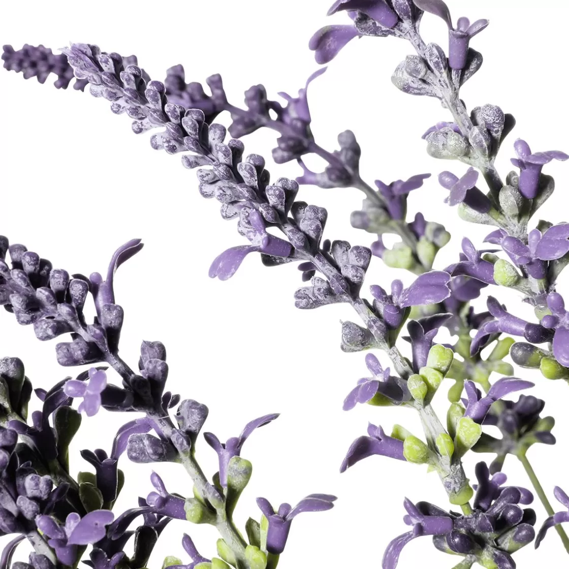 Hierba Decorativa | Flores Artificiales>DecoWoerner Manojo De Hierba De Lavanda Deco 55 X 25 Cm (HxA) violeta