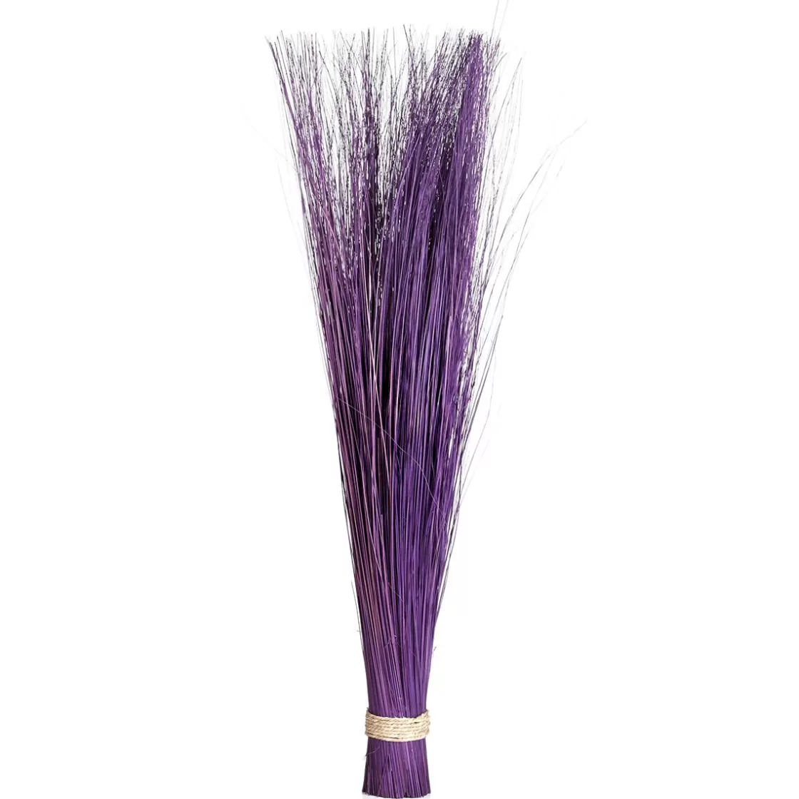 Hierba Decorativa>DecoWoerner Manojo De Hierba Deco Morado 100 Cm violeta