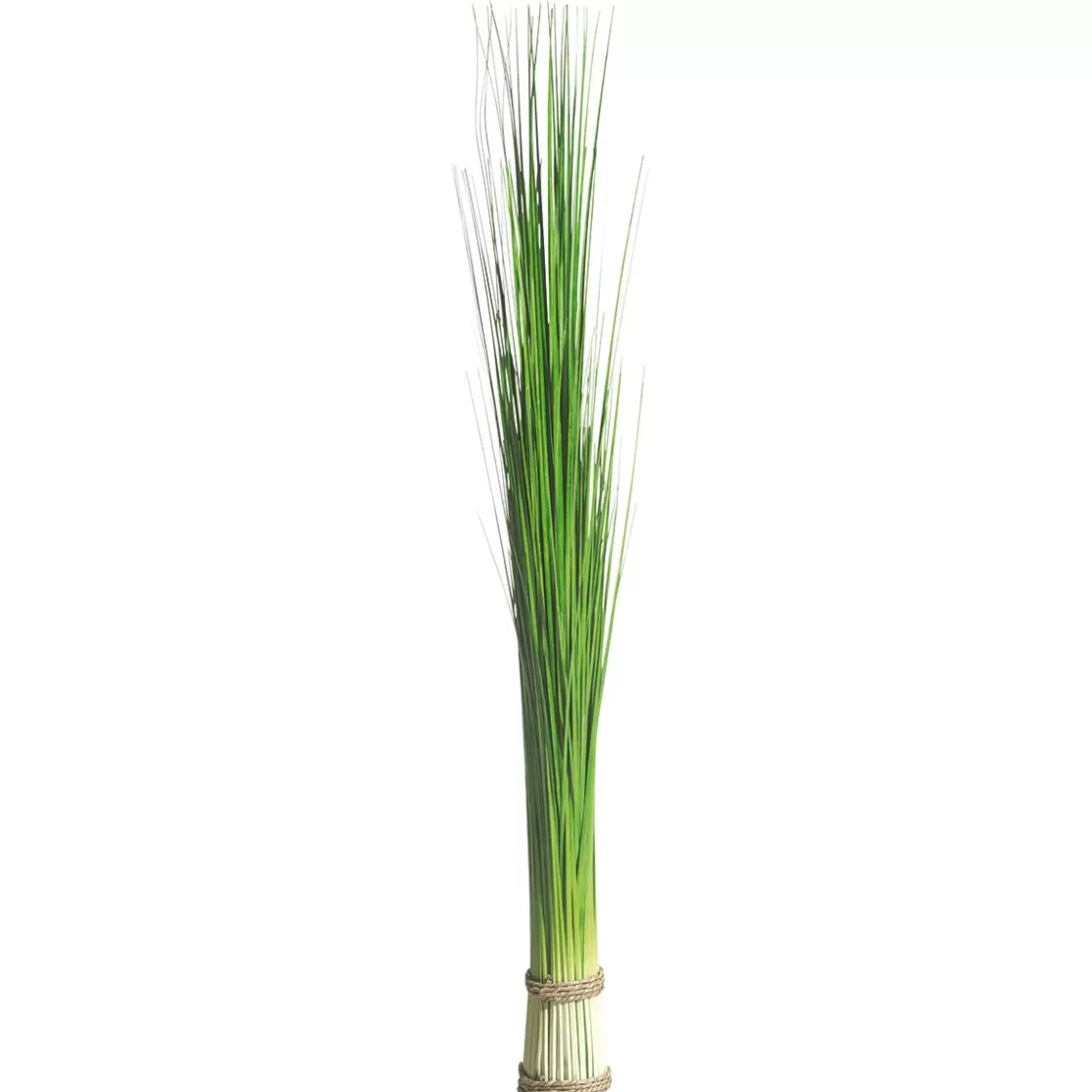 Decoración De Primavera | Hierba Decorativa>DecoWoerner Manojo De Hierba Decorativa Extra Largo, Longitud 90 Cm verde
