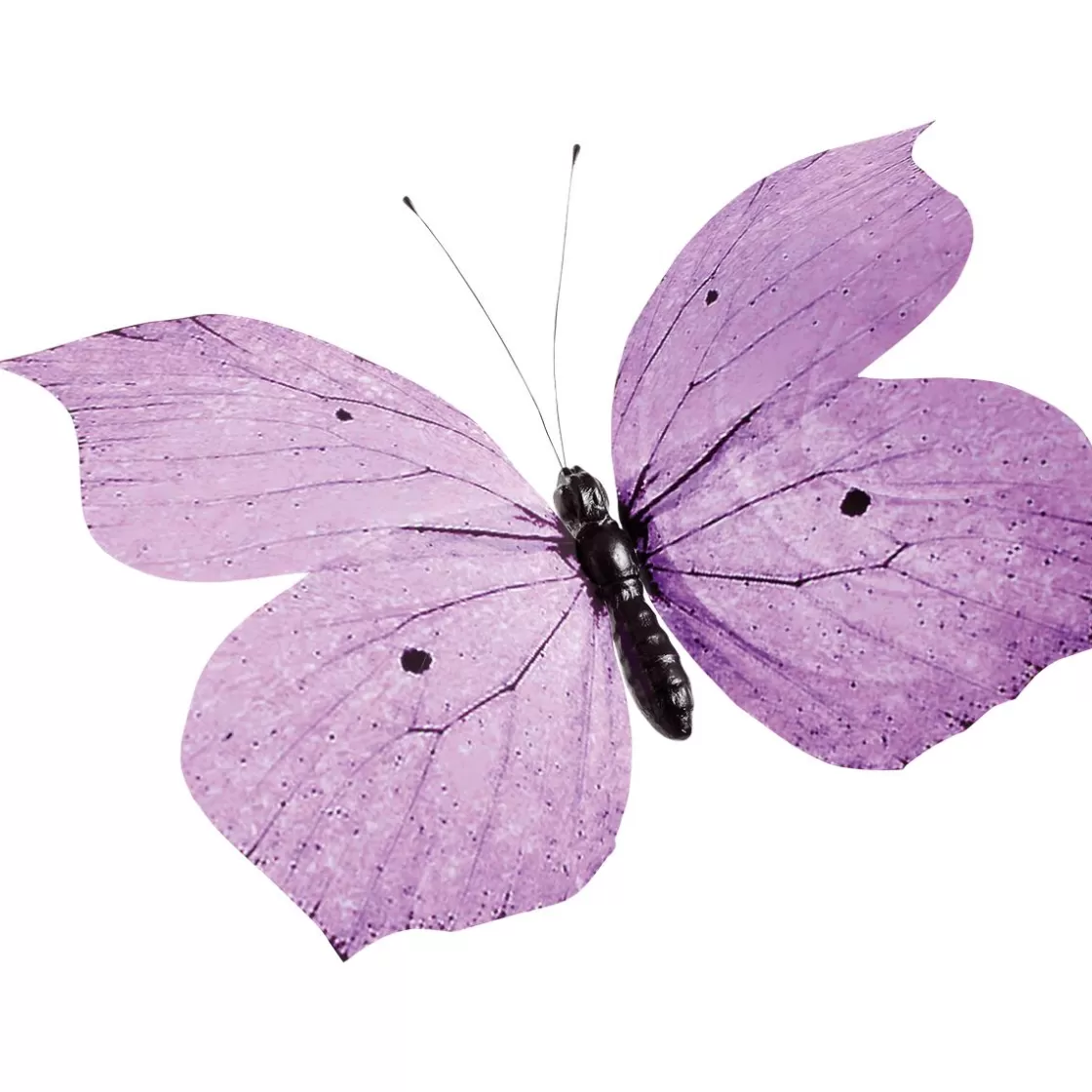 Decoración De Animales | Decoración De Primavera>DecoWoerner Mariposa Decorativa Púrpura, 80 Cm violeta