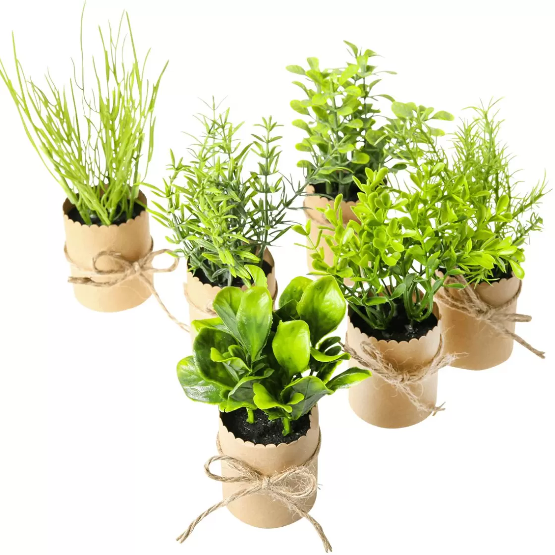 Plantas De Interior | Verduras Y Hierbas>DecoWoerner Mini Hierbas En Maceta 6 Piezas 15 Cm verde