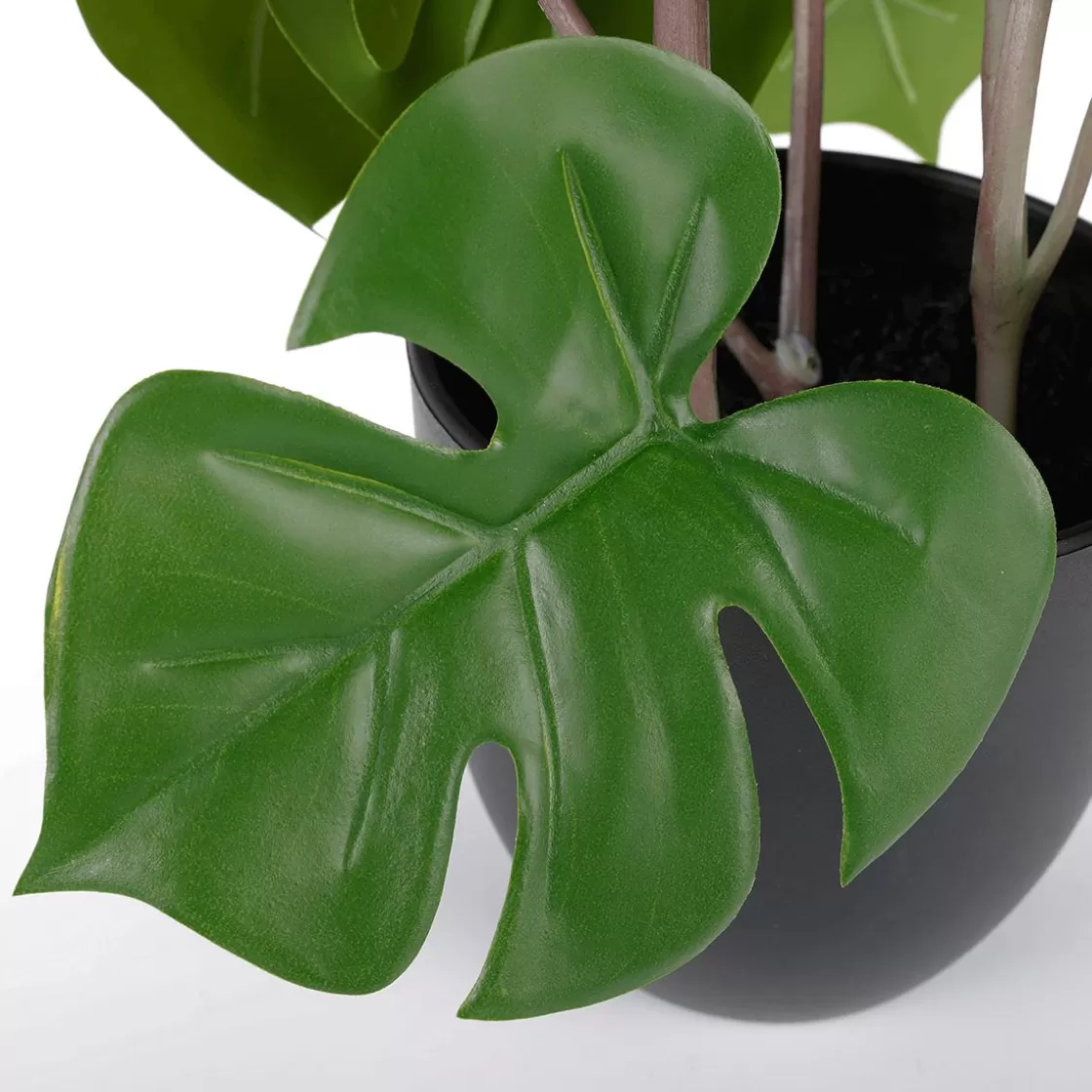 Plantas Verdes | Plantas De Interior>DecoWoerner Monstera En Maceta Negra verde