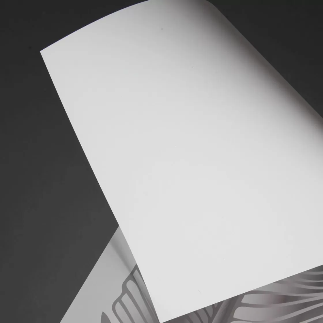 Decoración Temática | Pancartas Temáticas>DecoWoerner Muelle De La Bandera De Papel De Aluminio, 139 Cm De Largo transparente