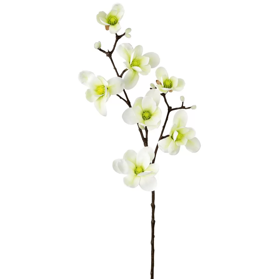 Decoración De Primavera | Ramas Y Ramitas>DecoWoerner Noble Rama De Magnolia Artificial, Verde, 100 Cm blanco