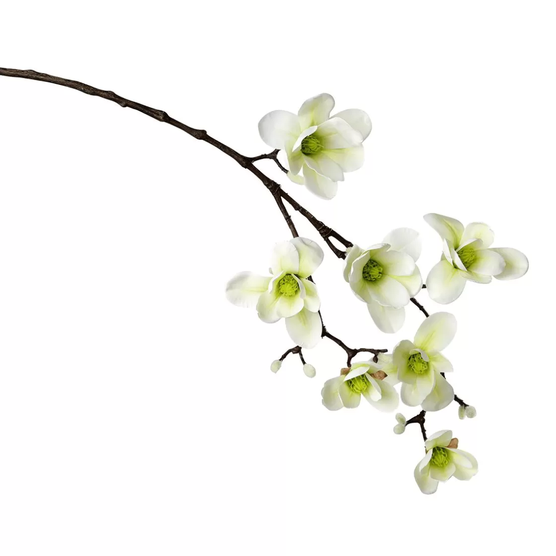 Decoración De Primavera | Ramas Y Ramitas>DecoWoerner Noble Rama De Magnolia Artificial, Verde, 100 Cm blanco