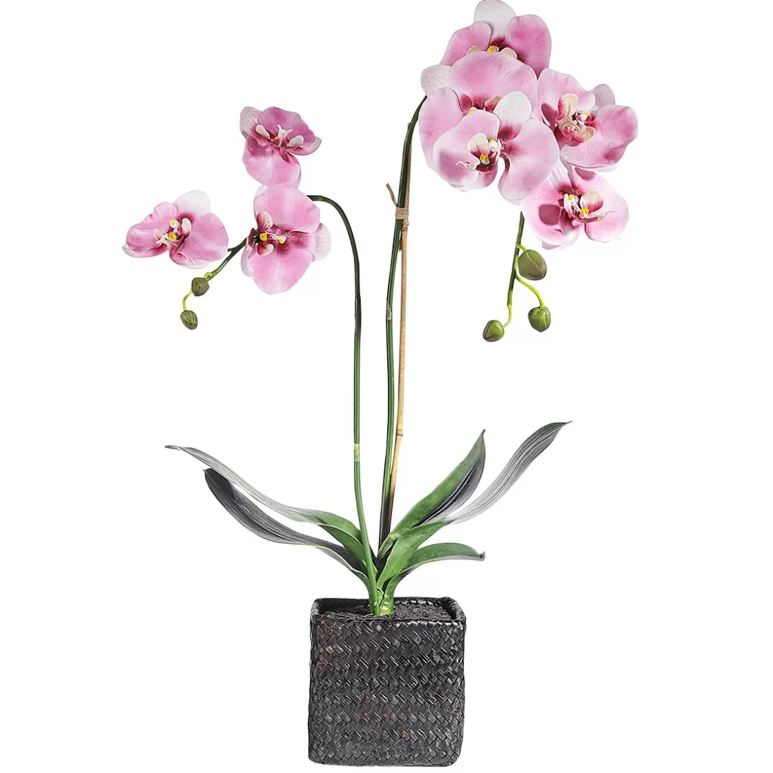 Plantas De Interior | Flores Artificiales>DecoWoerner Orquídea Decorativa En Maceta 80 Cm rosa