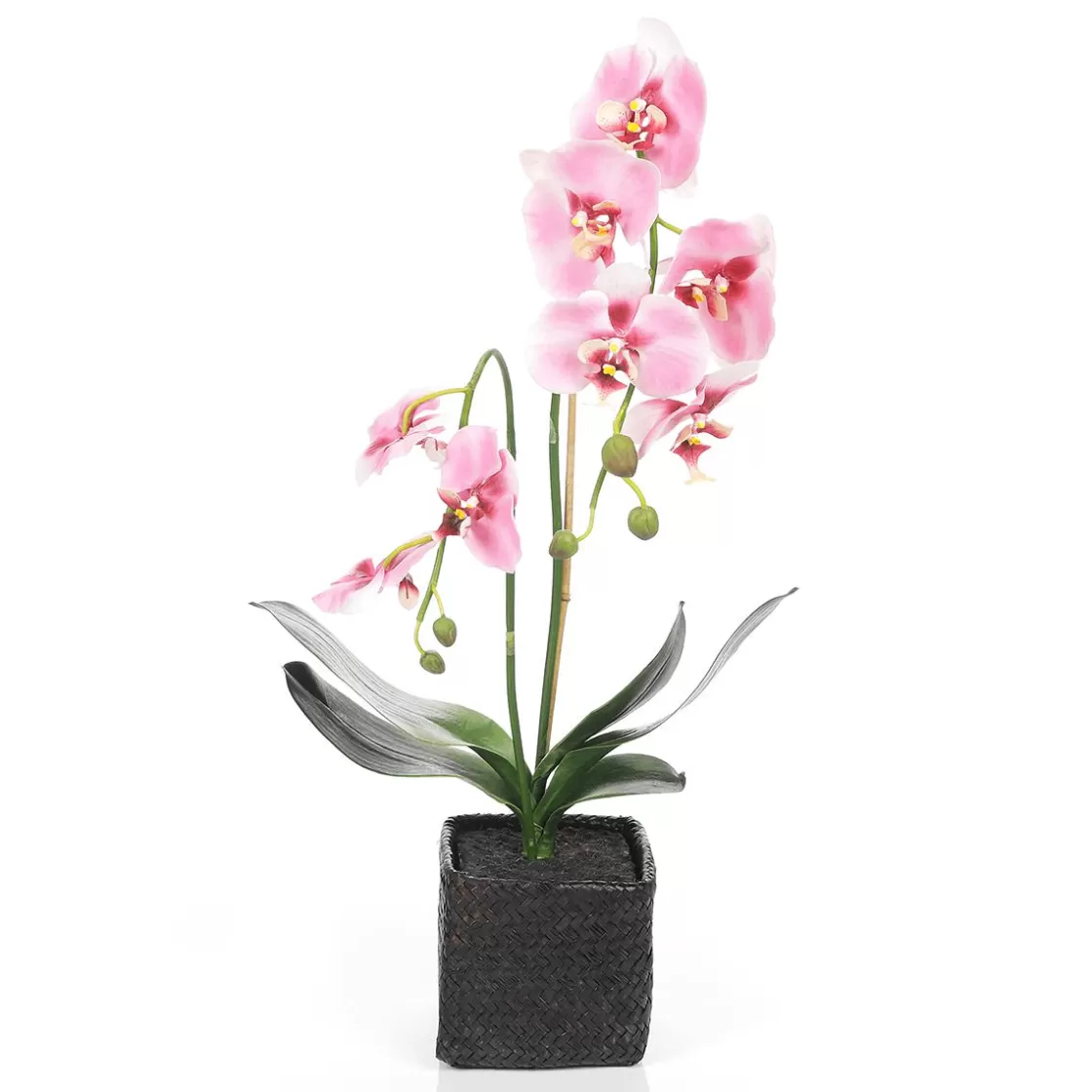 Plantas De Interior | Flores Artificiales>DecoWoerner Orquídea Decorativa En Maceta 80 Cm rosa