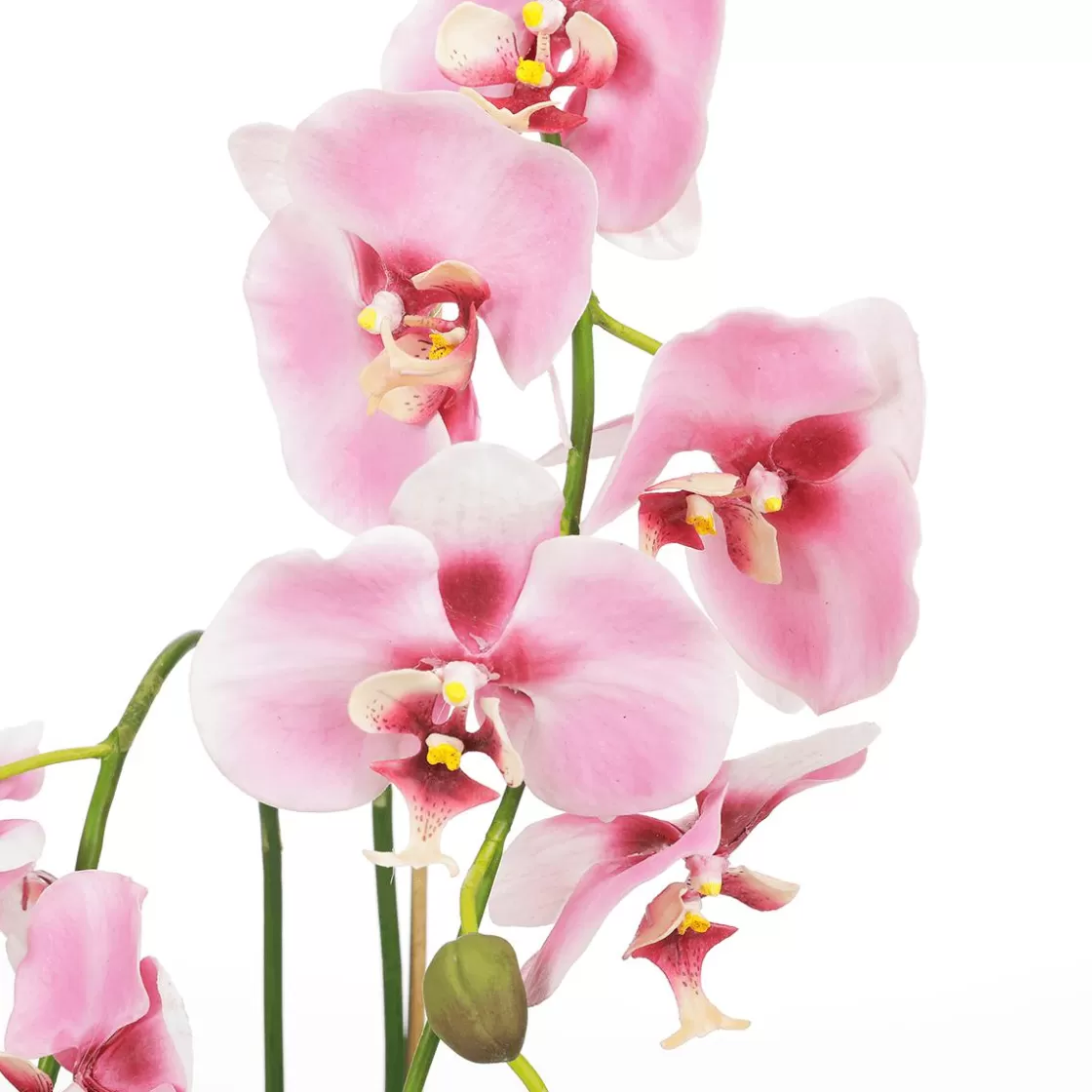 Plantas De Interior | Flores Artificiales>DecoWoerner Orquídea Decorativa En Maceta 80 Cm rosa
