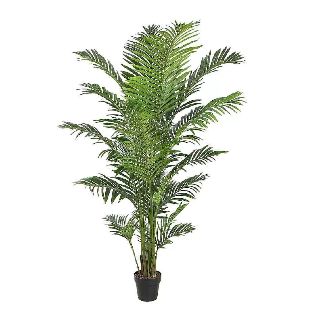 Decoración De Verano | Árboles Artificiales>DecoWoerner Palma Areca Altura 190 Cm verde