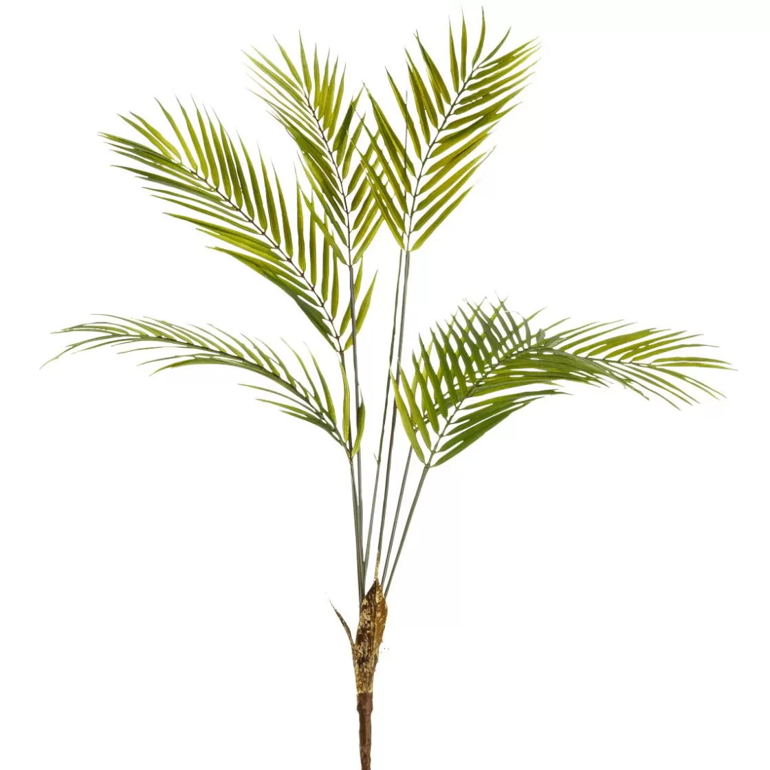 Ramas Y Ramitas>DecoWoerner Palmera Artificial Frondas De Palmera 80 Cm verde