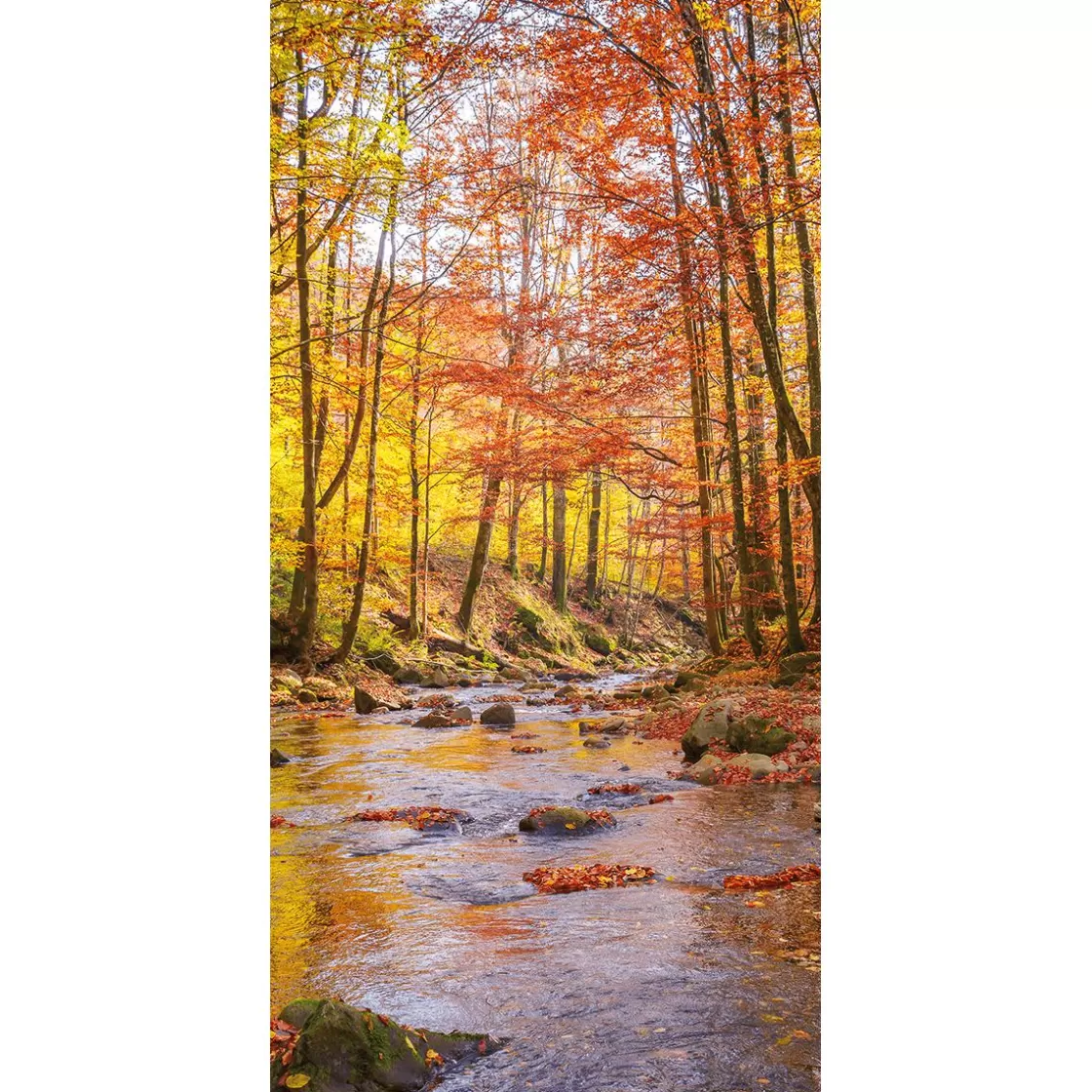 Pancartas De Otoño>DecoWoerner Pancarta De Tela Brook Autumn 100 X 200 Cm naranja