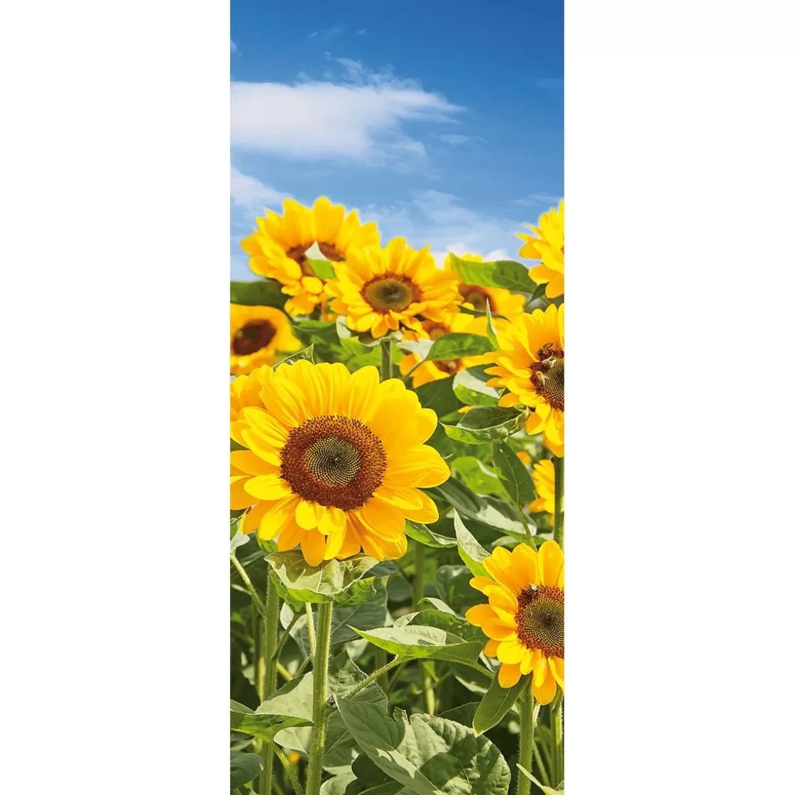 Pancartas De Otoño | Pancartas De Verano>DecoWoerner Pancarta De Tela Campo De Girasoles 75 X 180 Cm