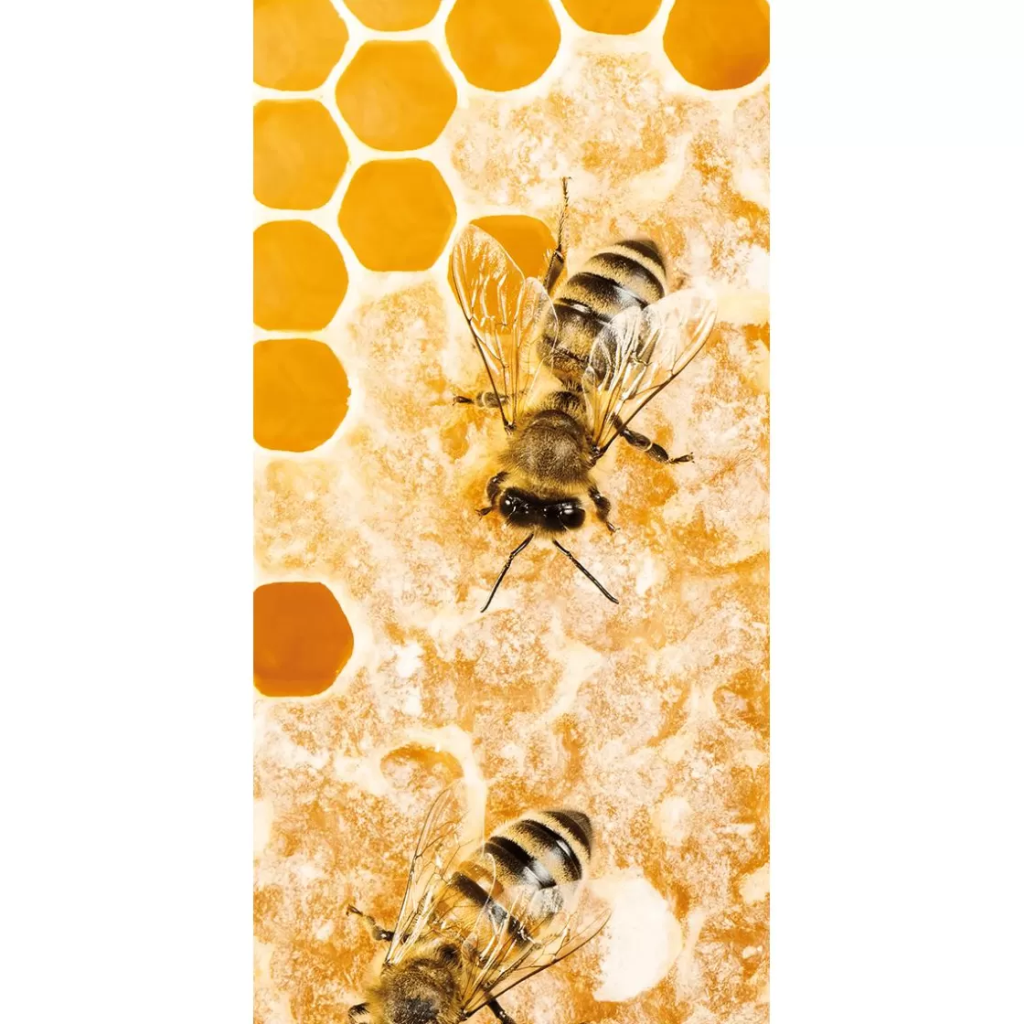 Pancartas Temáticas | Pancartas De Verano>DecoWoerner Pancarta De Tela Ignífuga "abeja Ocupada" De Tela De Bandera 100 X 200 Cm amarillo