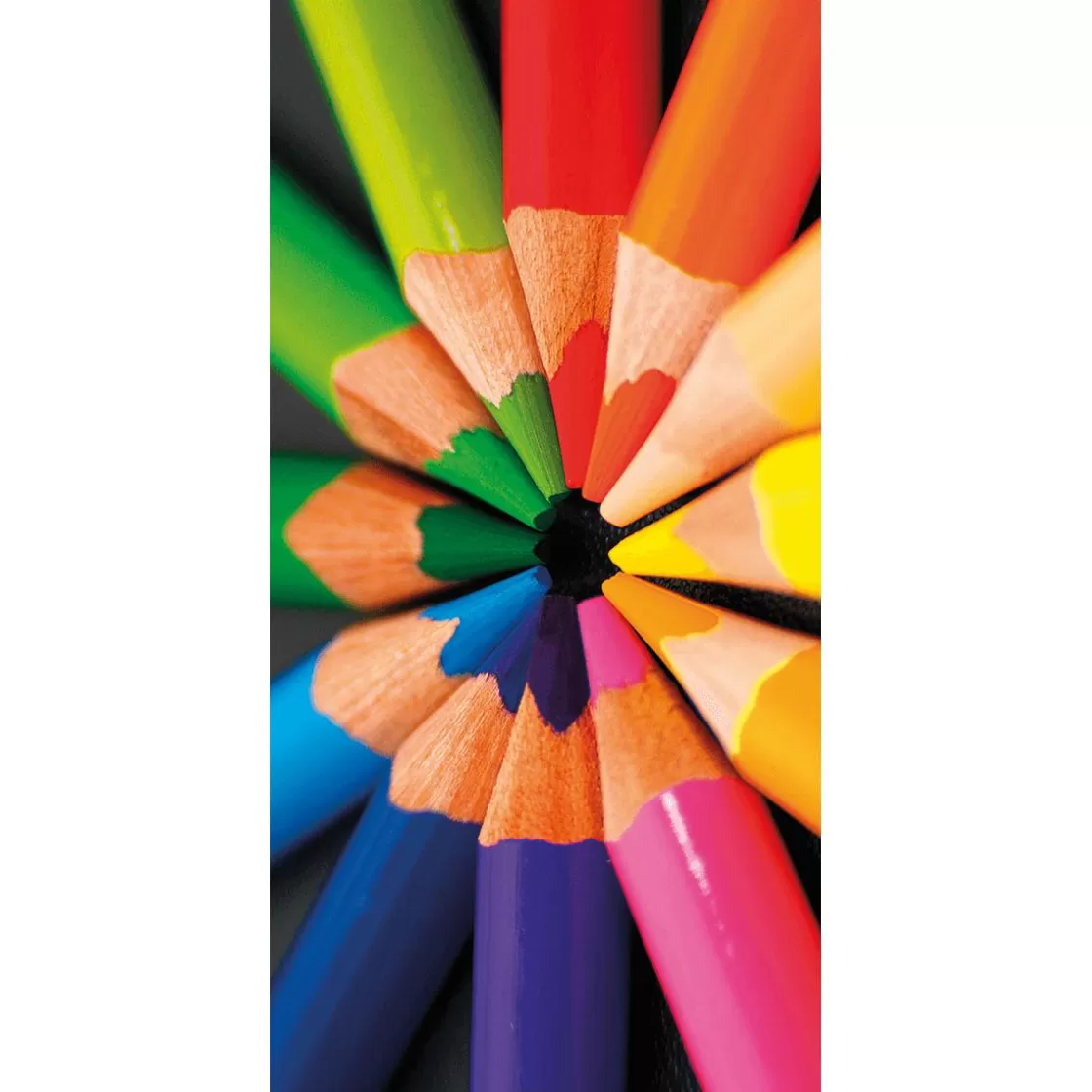 Decoración Temática | Pancartas Temáticas>DecoWoerner Pancarta De Tela Ignífuga "Buntstifte" En Tela De Bandera 100 X 200 Cm multicolor