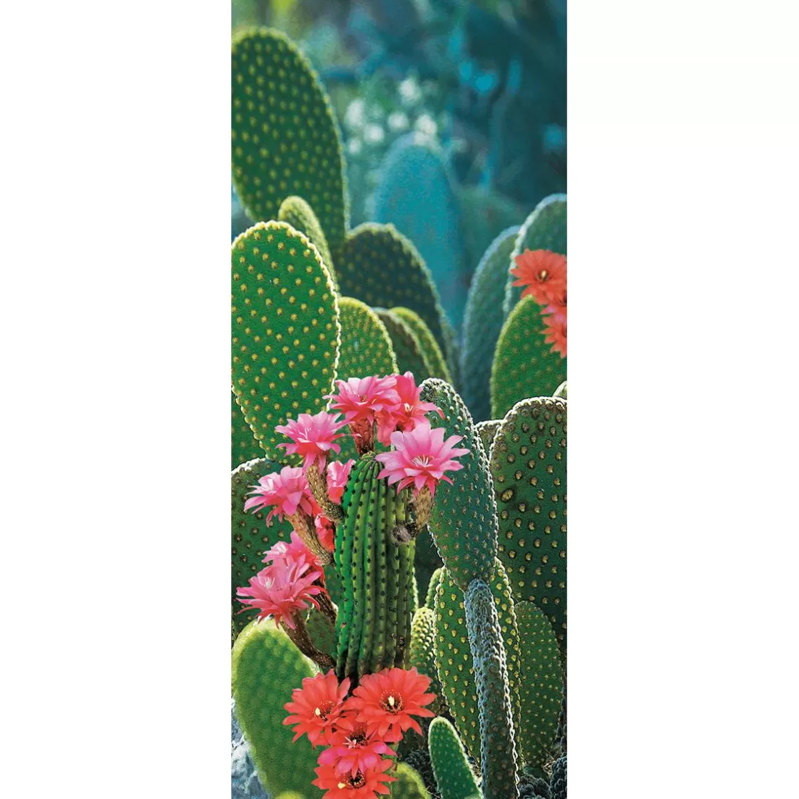 Decoración De Verano | Pancartas Temáticas>DecoWoerner Pancarta De Tela Ignífuga "Cactus En Flor" En Tela De Bandera 75 X 180 Cm verde