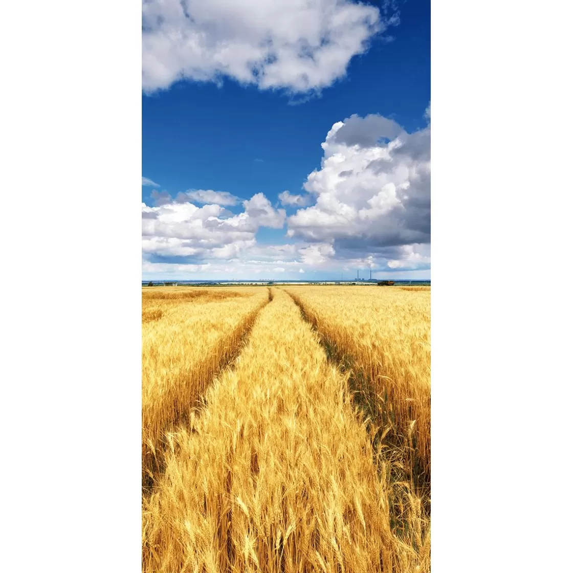 Decoración Temática | Decoración De Verano>DecoWoerner Pancarta De Tela Ignífuga "campo De Maíz Dorado Bajo Un Cielo Azul" De Tela De Bandera 100 X 200 Cm amarillo