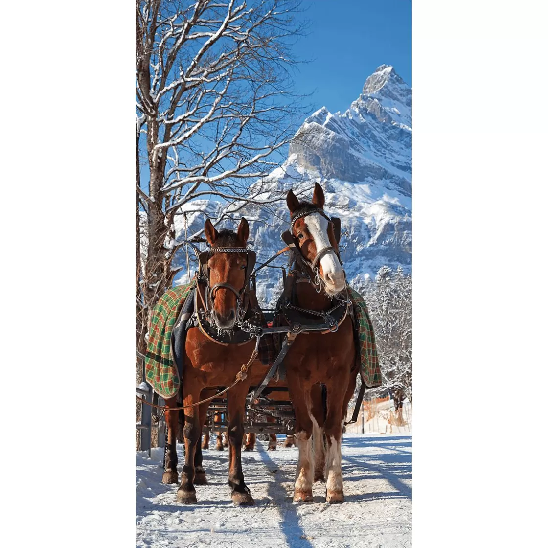 Decoración De Invierno | Pancartas De Navidad E Invierno>DecoWoerner Pancarta De Tela Ignífuga "Carro De Caballos En La Nieve" De Tela De Bandera 100 X 200 Cm marrón