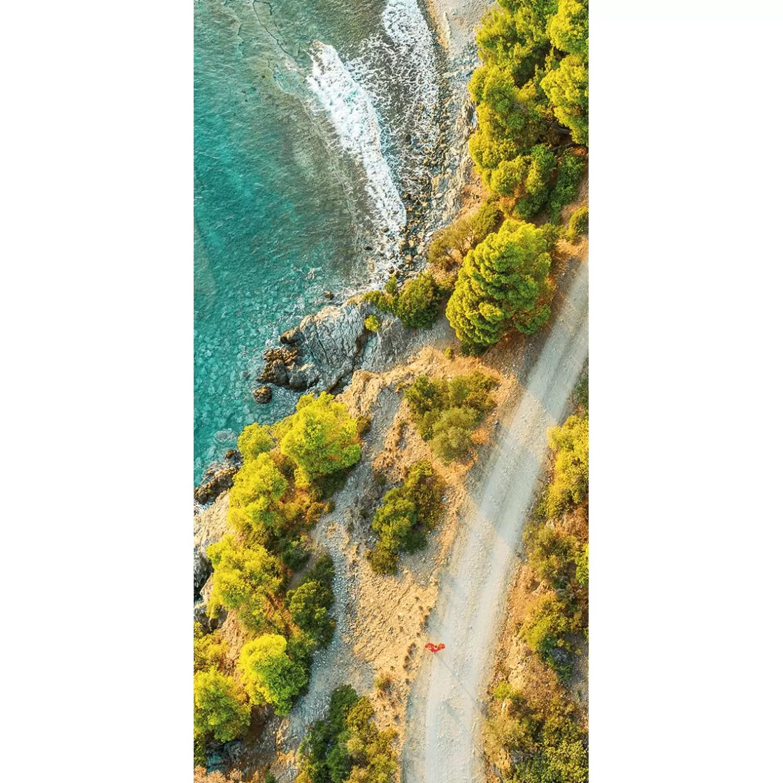 Decoración Temática | Decoración De Verano>DecoWoerner Pancarta De Tela Ignífuga "Coastal Road" De Tela De Bandera 100 X 200 Cm verde