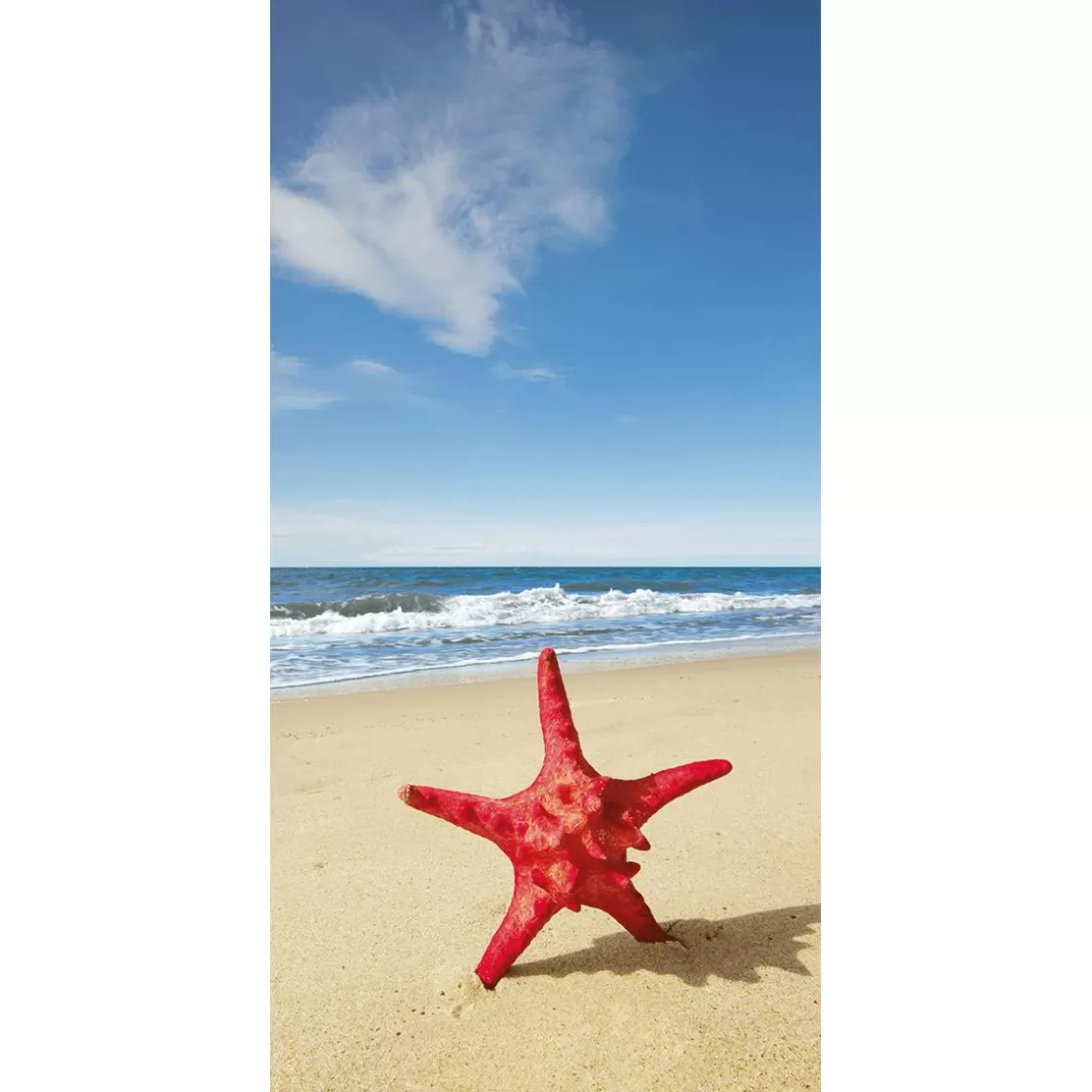Decoración De Verano | Pancartas De Verano>DecoWoerner Pancarta De Tela Ignífuga "estrella De Mar Roja Junto Al Mar" De Tela De Bandera 100 X 200 Cm rojo