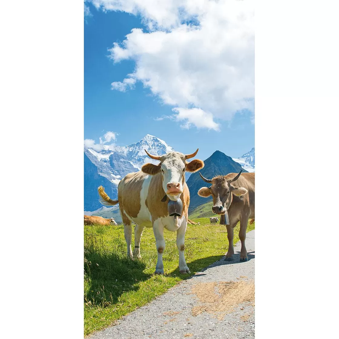 Decoración Temática | Decoración De Verano>DecoWoerner Pancarta De Tela Ignífuga "Felices Vacas Lecheras En Los Alpes" En Tela De Bandera 100 X 200 Cm marrón