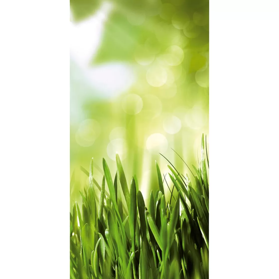 Decoración Natural | Decoración De Verano>DecoWoerner Pancarta De Tela Ignífuga "Hierba De Primavera" De Tela De Bandera 100 X 200 Cm verde