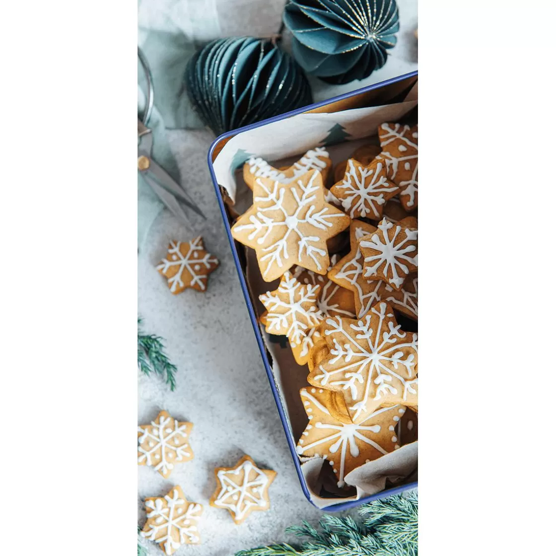 Pancartas De Navidad E Invierno | Bandera De Navidad>DecoWoerner Pancarta De Tela Ignífuga "Lata De Galletas Con Copos De Nieve" De Tela De Bandera 100 X 200 Cm Beige