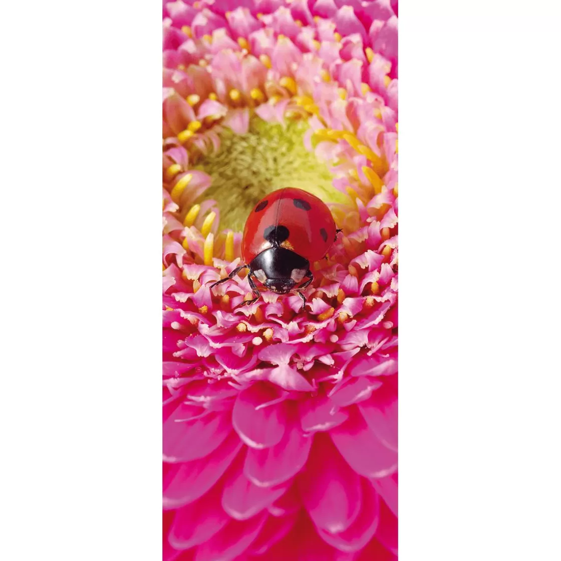 Decoración De Verano | Decoración De Primavera>DecoWoerner Pancarta De Tela Ignífuga "Mariquita Sobre Flor Rosa" De Tela De Bandera 75 X 180 Cm rojo