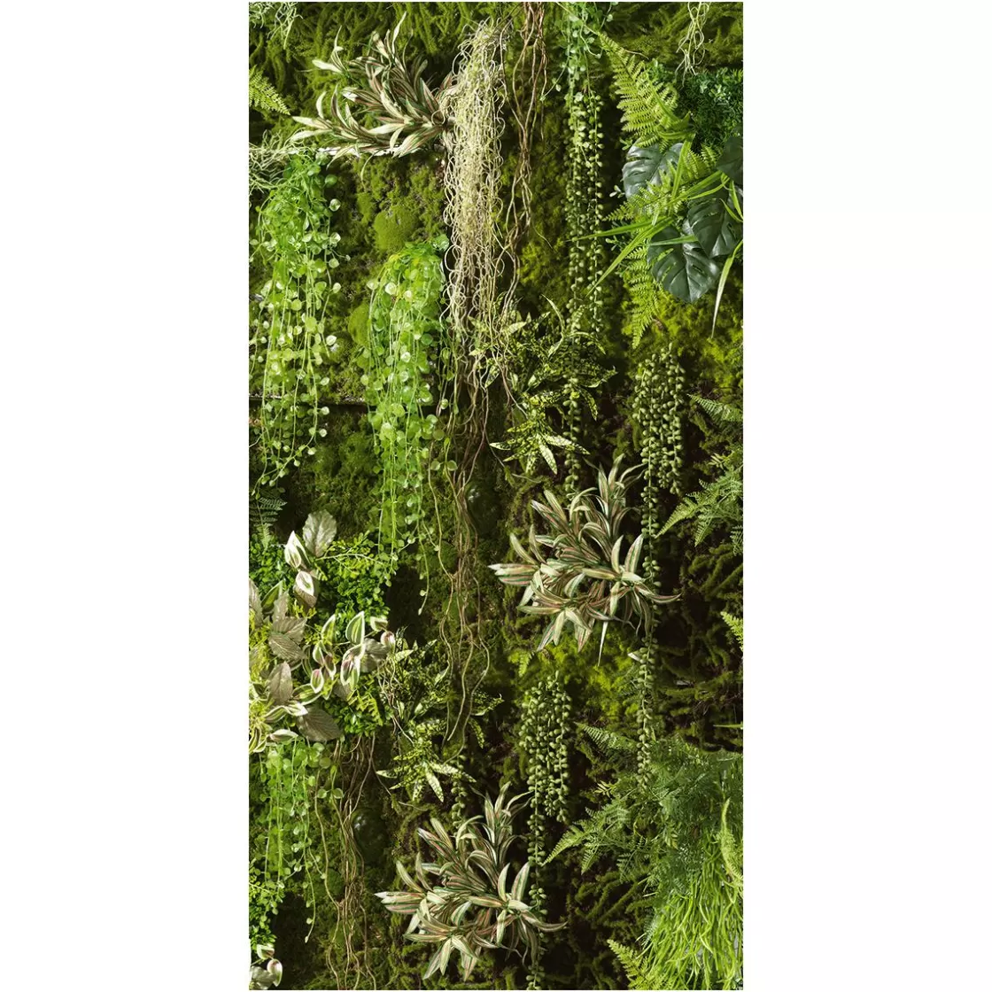 Decoración Natural | Decoración De Verano>DecoWoerner Pancarta De Tela Ignífuga "Muro De Plantas s" De Tela De Bandera 100 X 200 Cm verde