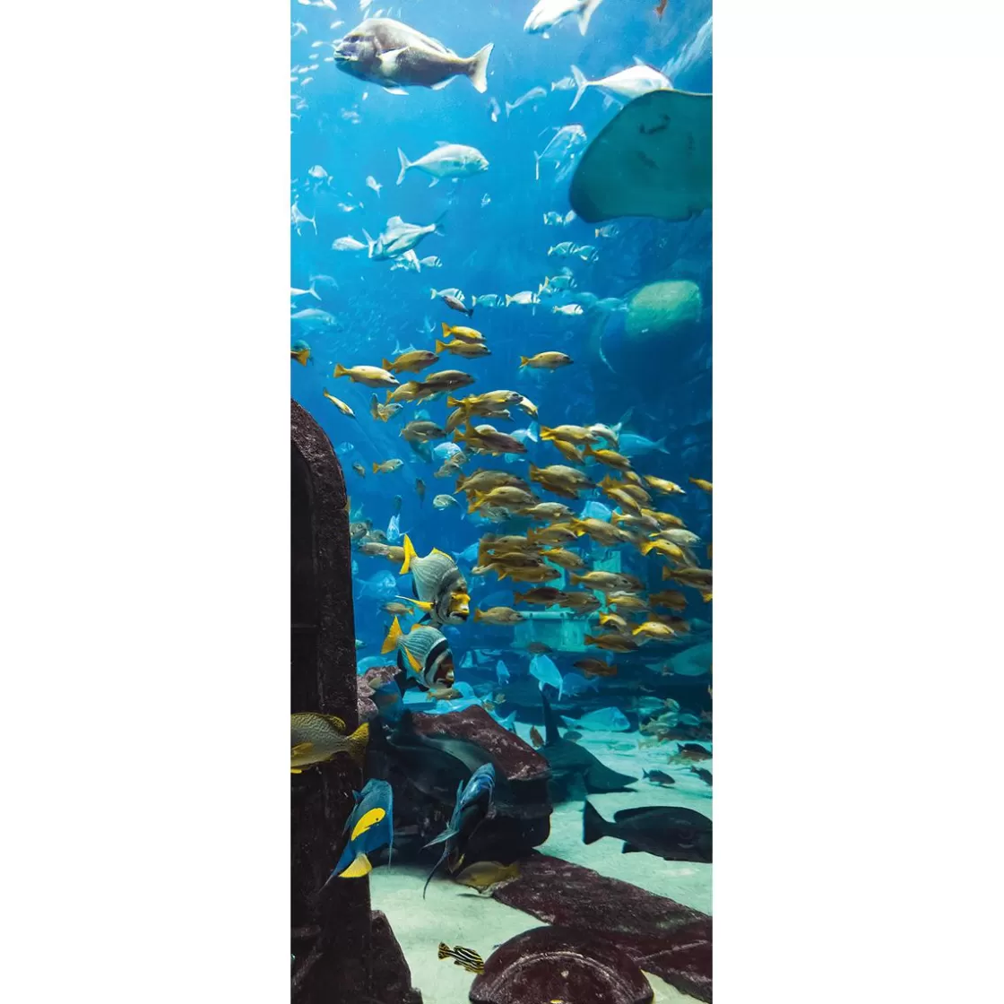 Decoración De Verano | Pancartas De Verano>DecoWoerner Pancarta De Tela Ignífuga "Paisaje Submarino En El Acuario" De Tela De Bandera 75 X 180 Cm azul