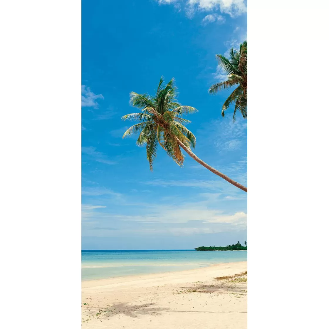 Decoración De Verano | Pancartas De Verano>DecoWoerner Pancarta De Tela Ignífuga "Palm Beach" De Tela De Bandera 100 X 200 Cm azul