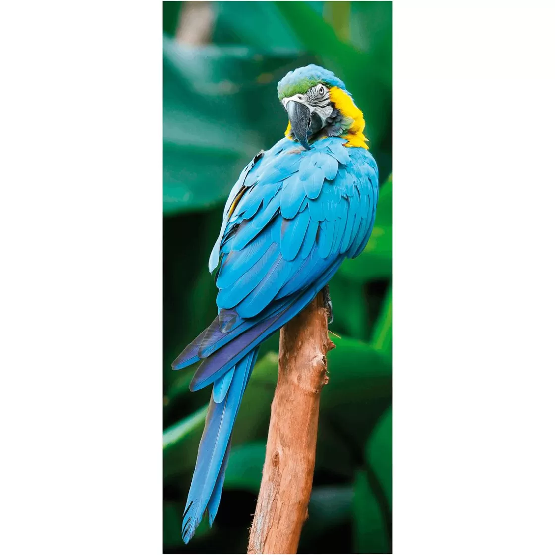 Decoración De Verano | Pancartas De Verano>DecoWoerner Pancarta De Tela Ignífuga "Papagayo " Tela De Bandera 75 X 180 Cm azul