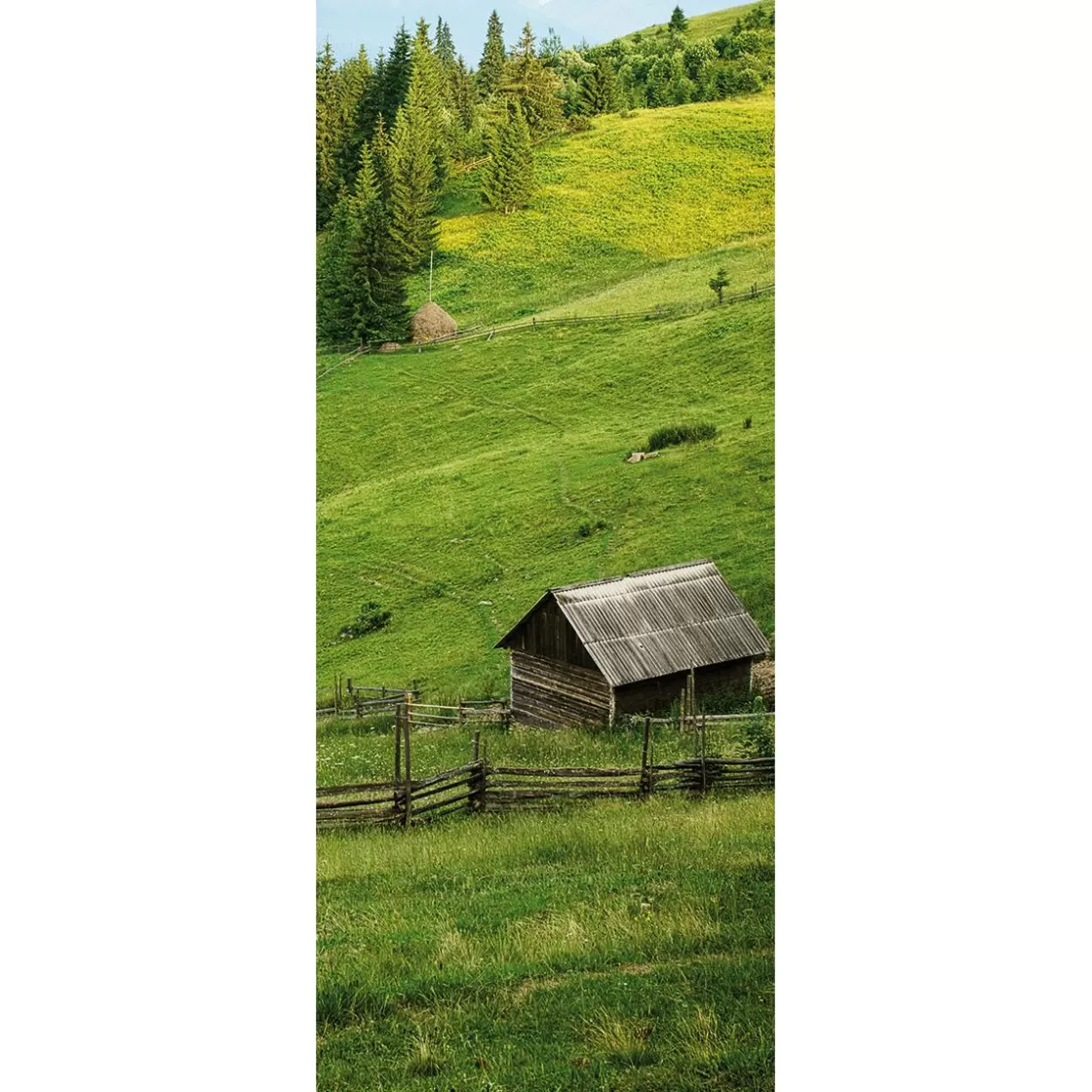 Decoración De Otoño | Decoración De Verano>DecoWoerner Pancarta De Tela Ignífuga "Pastos s De Montaña" De Tela De Bandera 75 X 180 Cm verde