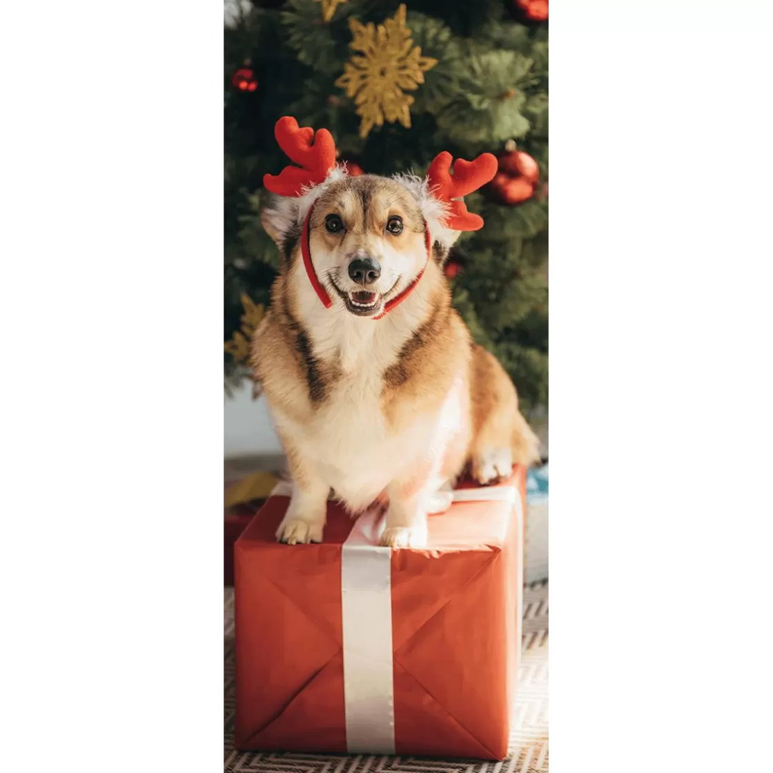 Pancartas De Navidad E Invierno | Bandera De Navidad>DecoWoerner Pancarta De Tela Ignífuga "Perro De Navidad Corgi" De Tela De Bandera 75 X 180 Cm marrón