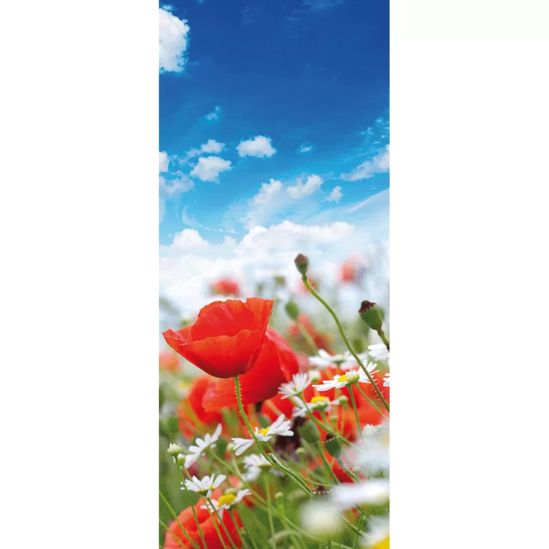Decoración De Verano | Decoración De Primavera>DecoWoerner Pancarta De Tela Ignífuga "Pradera Con Amapolas Y Margaritas" De Tela De Bandera 75 X 180 Cm rojo