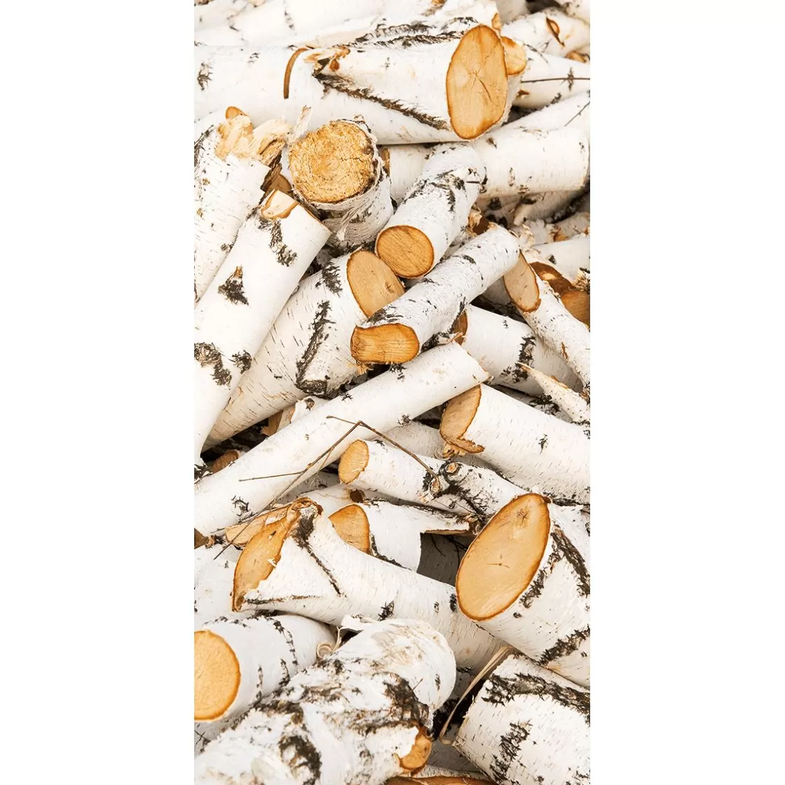 Decoración De Invierno | Decoración De Otoño>DecoWoerner Pancarta De Tela Ignífuga "troncos De Madera De Abedul " De Tela De Bandera 100 X 200 Cm blanco