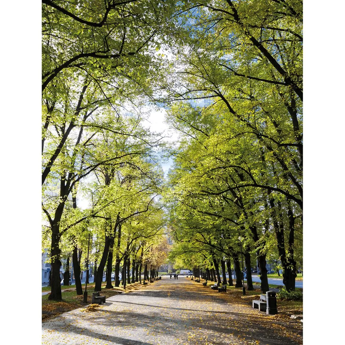 Bandera Xxl>DecoWoerner Pancarta De Tela XL "Avenida En El Parque" De Tela De Bandera Ignífuga 150 X 200 Cm verde