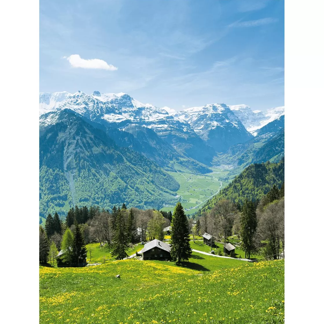 Bandera Xxl | Decoración Temática>DecoWoerner Pancarta De Tela XL "Pradera Alpina Con Pasto De Montaña" De Tela De Bandera Ignífuga 150 X 200 Cm verde