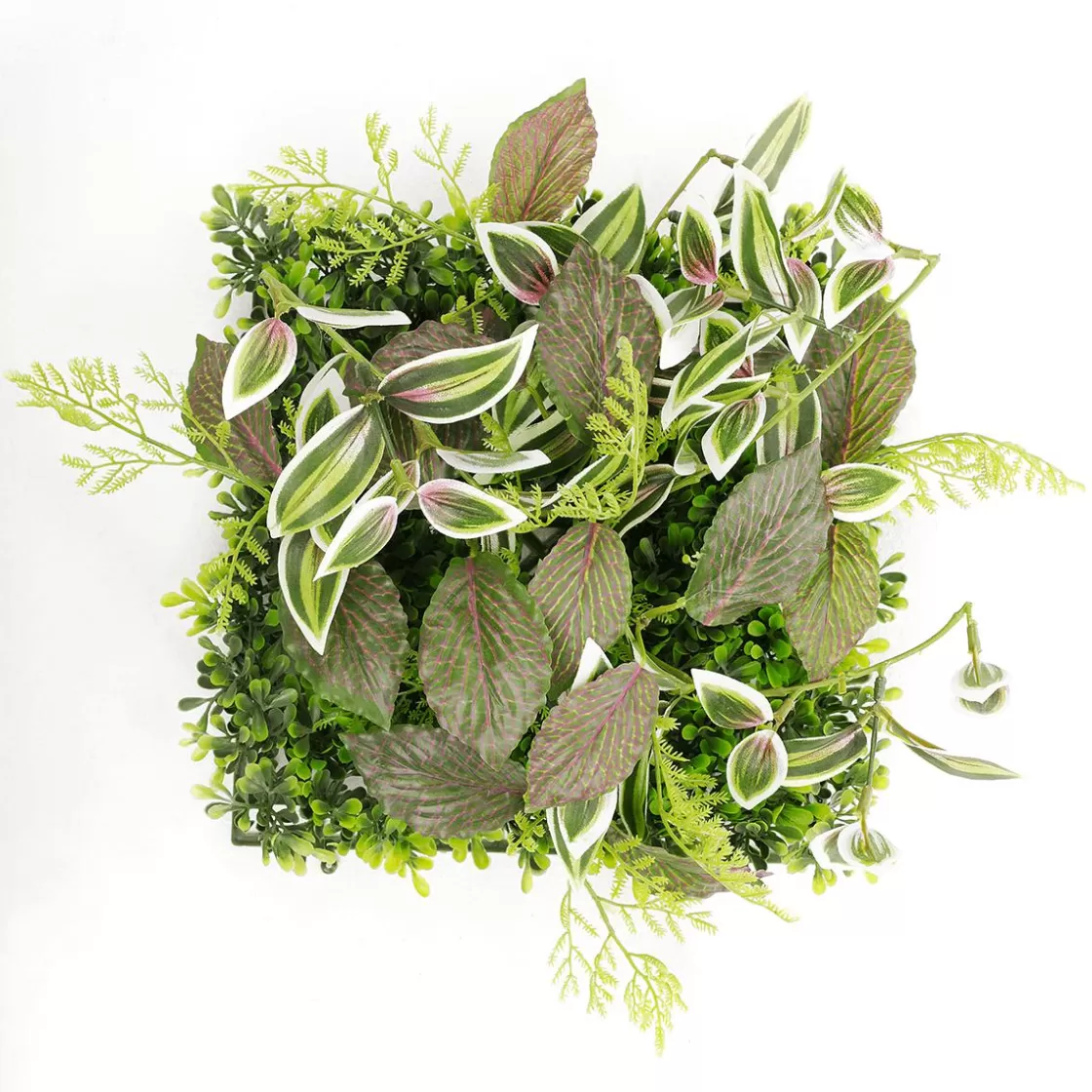 Decoración De Verano | Paredes De Plantas>DecoWoerner Panel Artificial De Arbusto De Fitonia 25 X 25 Cm verde