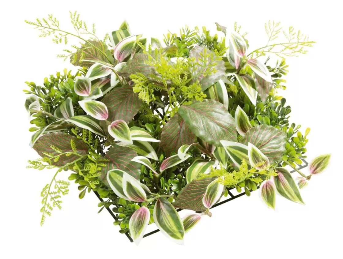 Decoración De Verano | Paredes De Plantas>DecoWoerner Panel Artificial De Arbusto De Fitonia 25 X 25 Cm verde